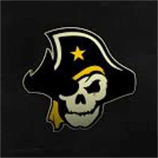 Live From Southwestern University Baseball PlaySight live-from-southwestern-university-baseball-playsight